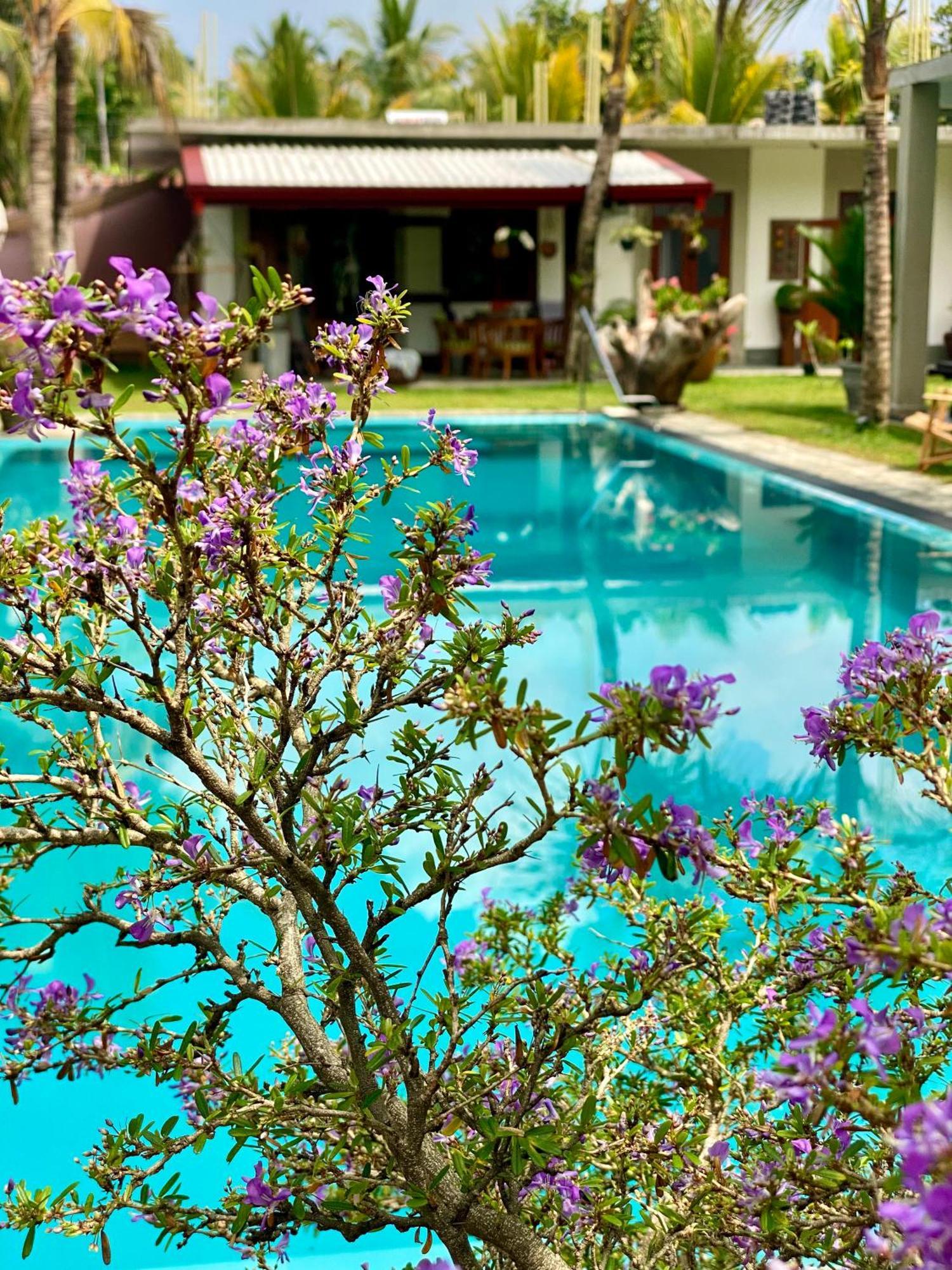 Sri Palms Bed & Breakfast Kosgoda Exterior photo